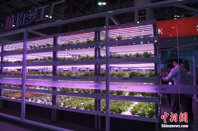 植物工廠亮相“廈洽會(huì)” 計(jì)算機(jī)系統(tǒng)集成服務(wù)助力現(xiàn)代農(nóng)業(yè)革新